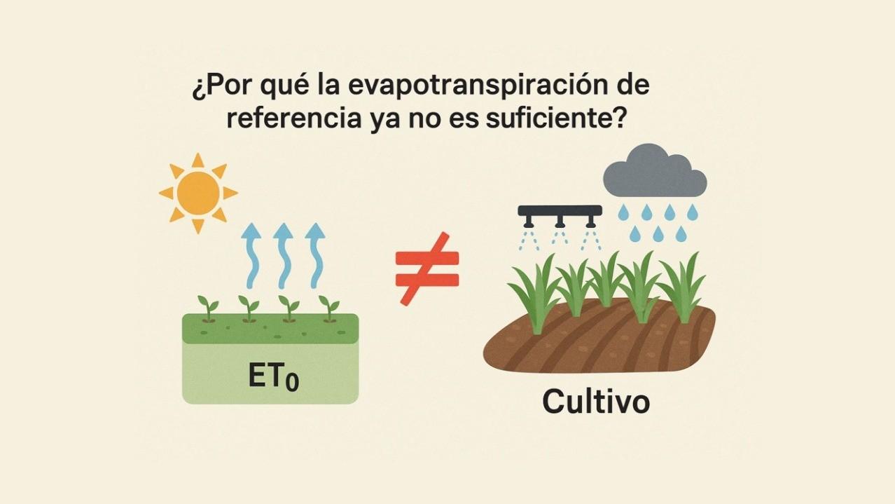 ¿Por qué la evapotranspiración de referencia ya no es suficiente para una agricultura moderna?